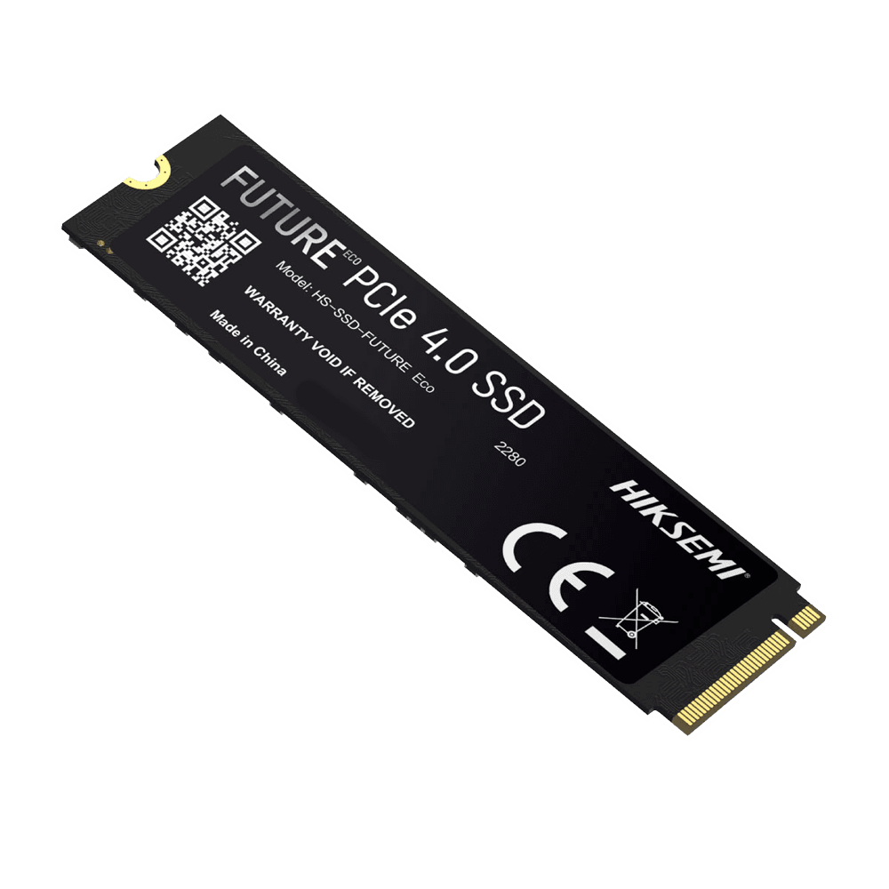 HS-SSD-FUTURE-2048G